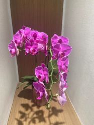 -如一·美甲美睫