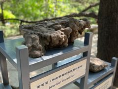 -周口店北京人遗址公园