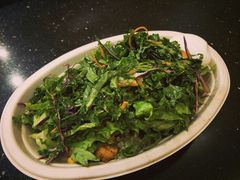 -油梨树AVOCADO TREE(顺义新国展店)