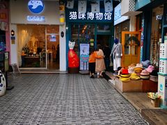 -猫咪博物馆(顶澳仔猫街店)