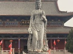 -大槐树寻根祭祖园