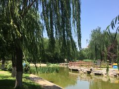 -丰台科技园生态主题公园