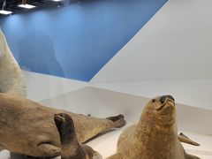 -青岛海底世界-水族馆