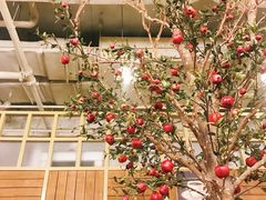 -Cafe Alice咖啡爱丽丝(奥城店)