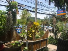 -Jungle Kitchen