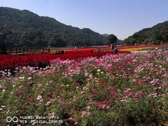 -广州市石门国家森林公园