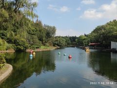 -上海共青森林公园