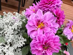 -blue frog蓝蛙(长泰广场店)