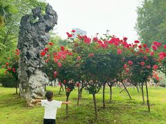 -汉水公园