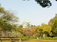 -名古屋城