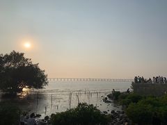 -宝安西湾红树林湿地公园