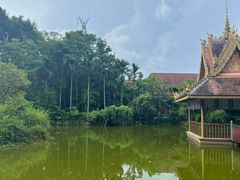 -西双版纳勐泐文化旅游区