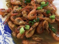 -百丈农家