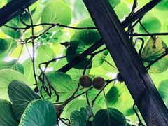 -碓臼峪自然风景区