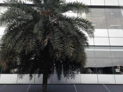 -广州粤海喜来登酒店