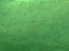 -白鹤梁水下博物馆