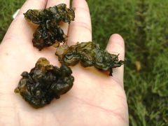 -经纬·泓汇地标家园