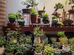 -双季花艺园艺市场(浦东店)