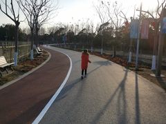 -上海长兴岛郊野公园