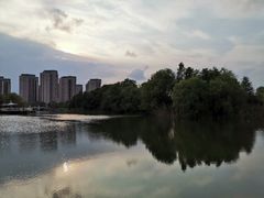 -新江湾城公园