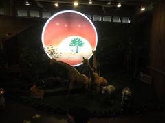 -济州岛泰迪熊博物馆