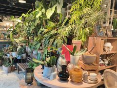 -自由生长植物工作室(深港花卉中心店)