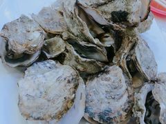 -旅南活海鲜-屏东(墾丁海鮮，海鮮餐廳，墾丁團體合菜，平價熱炒，墾丁熱炒店，活海鮮推薦，在地海鮮餐廳)