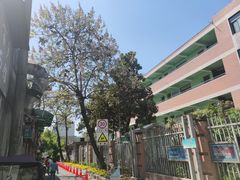 -杭州市大关中学附属小学