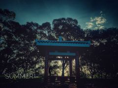 -金鸡山公园