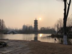 -桃花岛公园