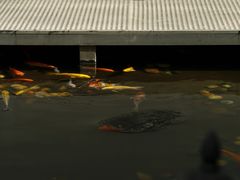 -绿房子方寸咖啡(星海名城店)