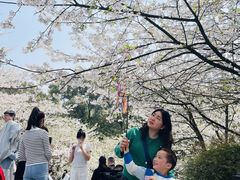 -南山植物园