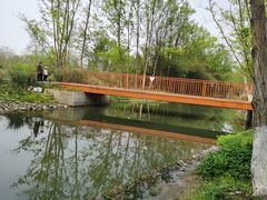 -桤木河湿地公园