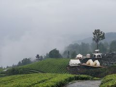 -鹿院坪生态旅游景区