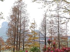 -南宁花花大世界景区