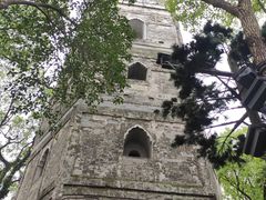 -江心屿景区