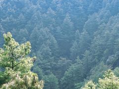 -苍山感通索道