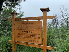 -帽儿山国家森林公园