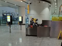 -麦当劳(北京大兴机场二层国内到达(安检外)店)