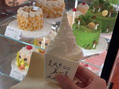-野人先生现做冰淇淋(北京王府井东方新天地店)
