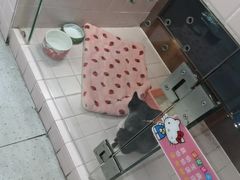 -FAELING PETS美天灵宠物(富力广场店)