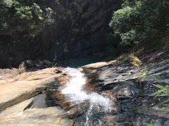 -广州白江湖森林公园