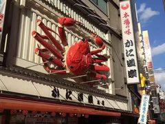 -蟹道乐(道顿堀本店)