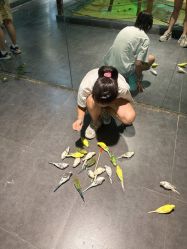 -酷嗒动物文化乐园(cutezoo西溪乐天城店)