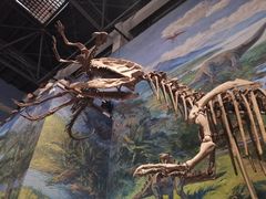 -自贡恐龙博物馆