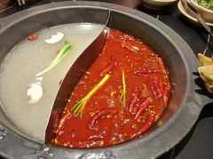 -蜀大侠火锅(四川北路店)