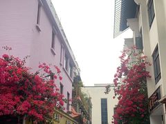 -梧桐山风景名胜区