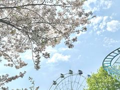 -红山森林动物园