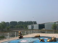 -微山湖红荷湿地景区