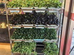 -海韵之星邮轮水会(明发商业广场店)